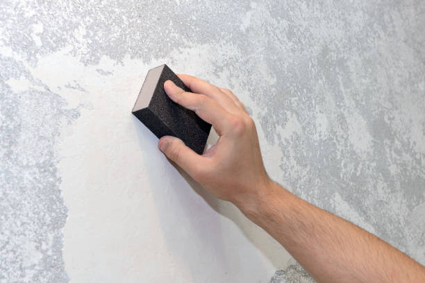 Best HVAC Mold Inspection and Cleaning  in Hudson, FL