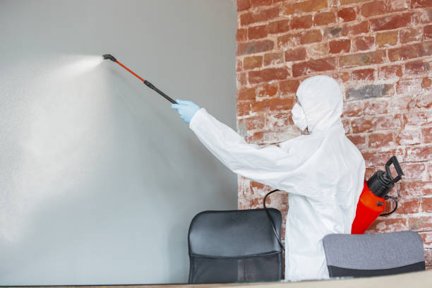 Best Environmental Consulting for Mold Prevention  in Hudson, FL