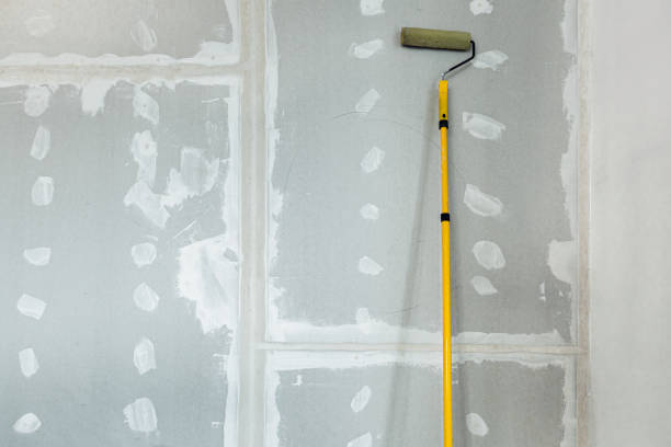 Best Post-Construction Mold Inspection  in Hudson, FL