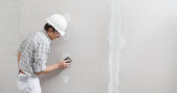 Best Attic Mold Removal  in Hudson, FL