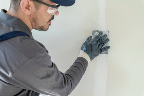 Best Emergency Mold Remediation  in Hudson, FL