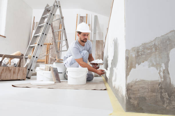 Best Dehumidification Services  in Hudson, FL