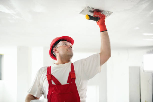 Best Mold Documentation for Insurance Claims  in Hudson, FL
