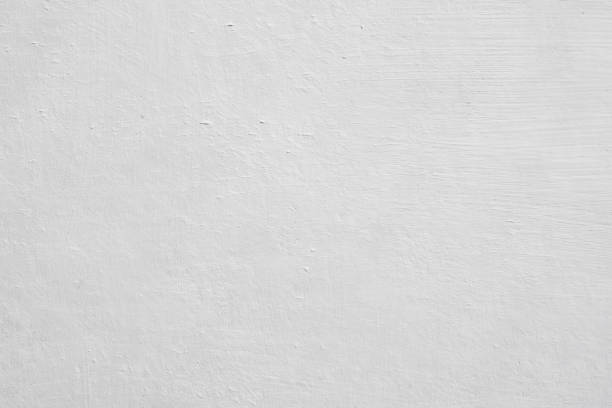  Hudson, FL Mold Removal Pros