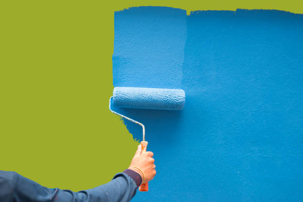 Hudson, FL Mold Removal Company
