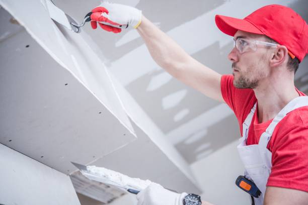 Best Mold Damage Restoration  in Hudson, FL
